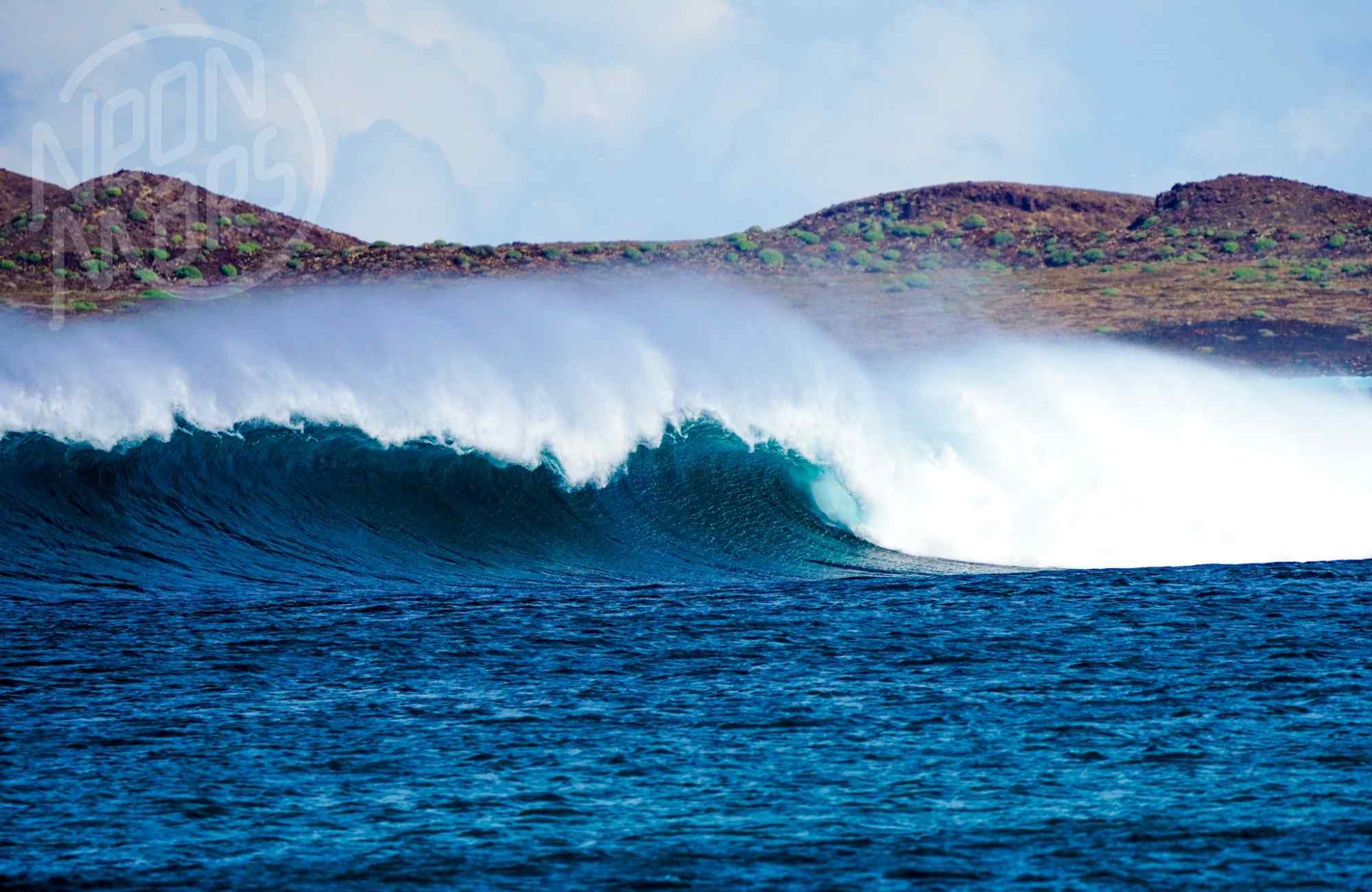 zazi-s-neonmars-fuerta-corralejo (66)